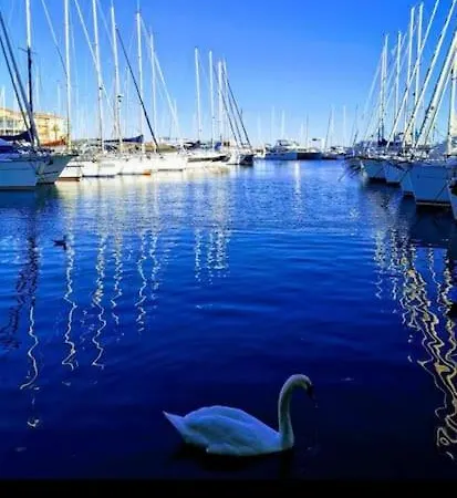Jolis Voiliers De 6m Pour Expérience Insolite Sur Port Et Port Santa Lucia St Raphael Fréjus